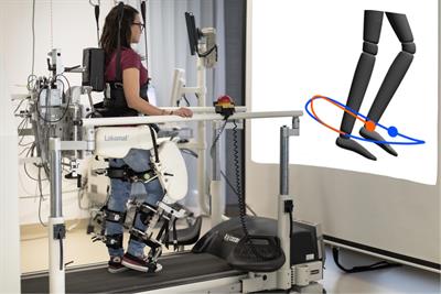 Haptic Error Modulation Outperforms Visual Error Amplification When Learning a Modified Gait Pattern